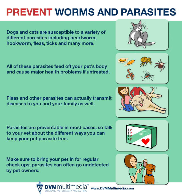 Parasite Parasite