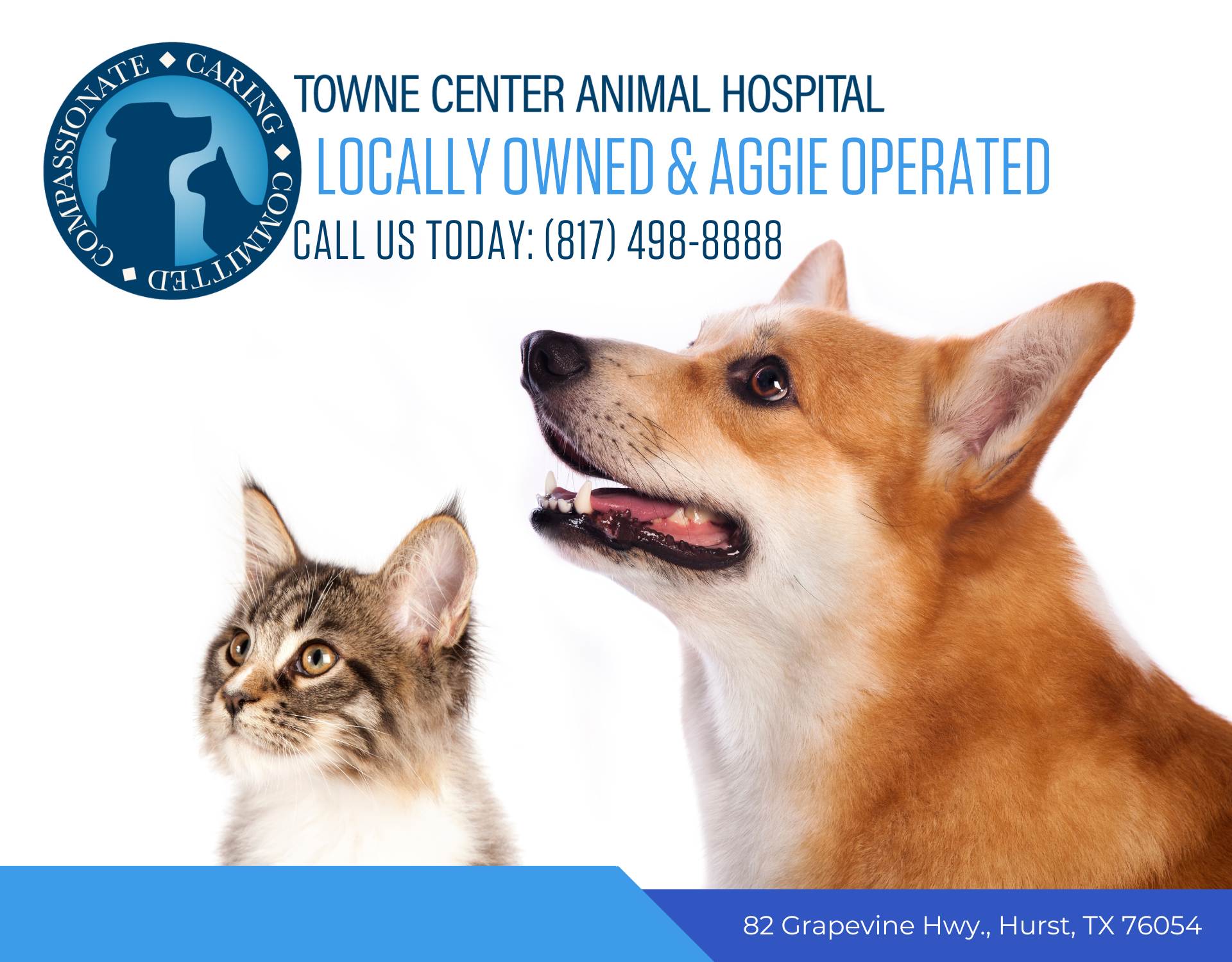 Towne Center Animal Hospital | Veterinarian serving Colleyville, Hurst, and  surrounding areas
